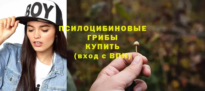 даркнет сайт  Беслан  Галлюциногенные грибы Psilocybine cubensis 